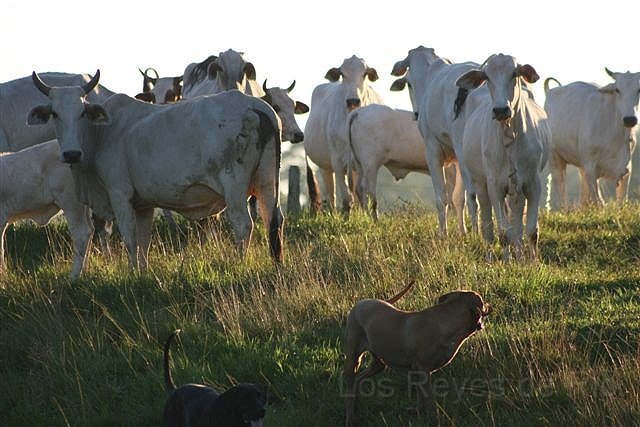 Februar 2013 089.JPG - Wagt es ja nicht.....